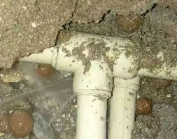 泰州市测漏水多少钱