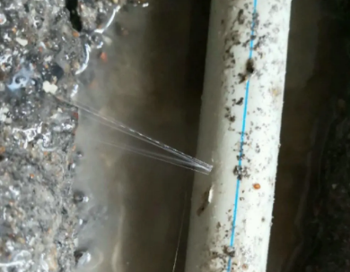 泰州市测漏水哪家好