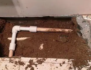 泰州市测漏水哪家好