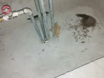 泰州市卫生间测漏水价格明细