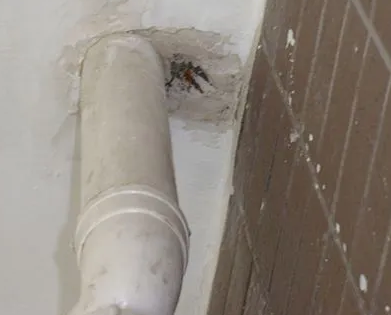 泰州市漏水检测哪家好